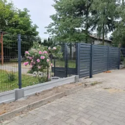 Szare ogrodzenie panelowe z podmurówką betonową i bramą wjazdową z poziomych desek, ozdobione kwitnącym krzewem różowych róż, widok z zewnątrz posesji.