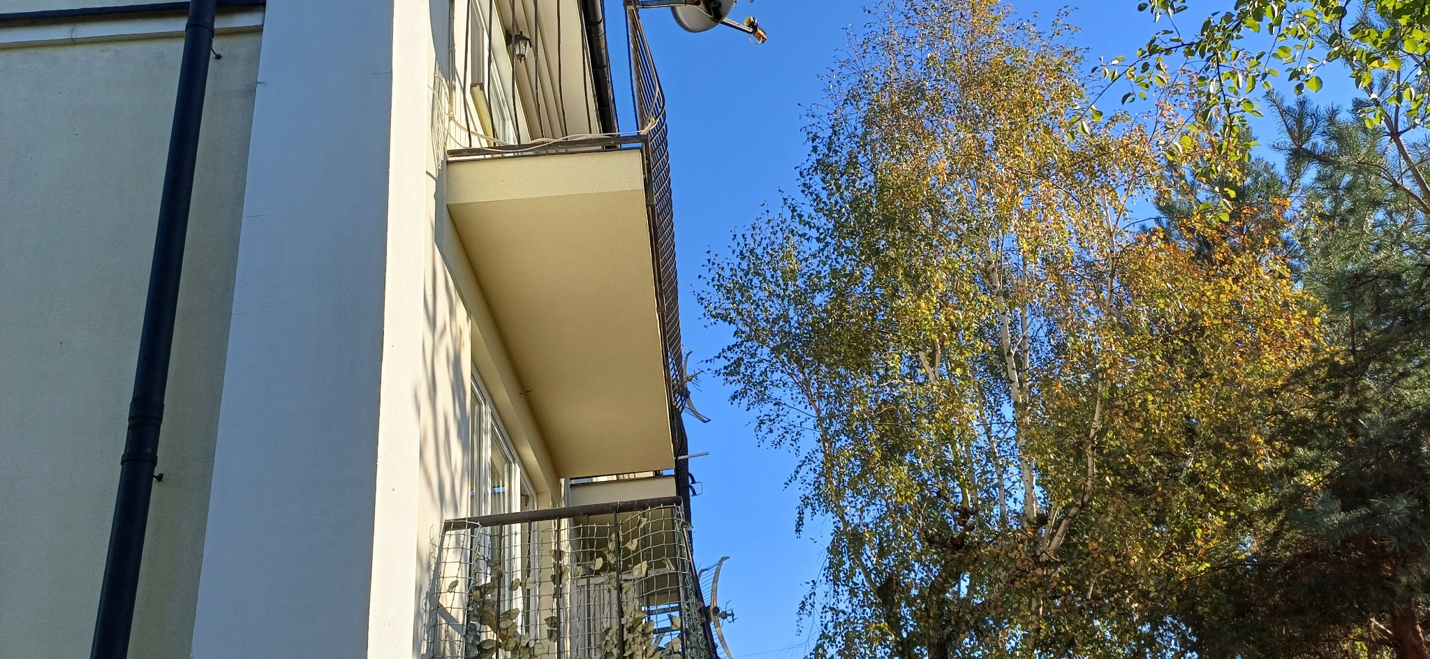 Wysoki budynek z balkonami z metalową siatką, widok z dołu na tle błękitnego nieba i drzew z żółknącymi liśćmi.