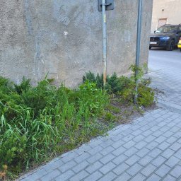 Szufeleczka Sp. z o. o. - Zarośnięty fragment chodnika przy betonowym murze, z widocznymi krzewami iglastymi i wysoką trawą, obok słupka drogowego i zaparkowanych samochodów w tle.