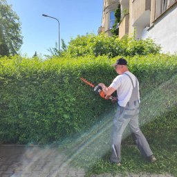 Szufeleczka Sp. z o. o. - Mężczyzna w szarym kombinezonie i czapce przycina żywopłot nożycami spalinowymi, z widocznym rozproszonym światłem słonecznym na chodniku i fragmentem budynku w tle.