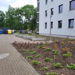 Szufeleczka Sp. z o. o. - Nowo posadzone krzewy ozdobne na rabacie przy budynku mieszkalnym z widocznymi śmietnikami w tle.