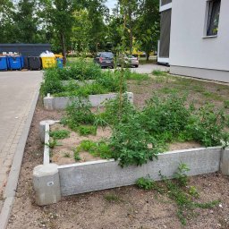 Szufeleczka Sp. z o. o. - Betonowe rabaty z zaniedbaną roślinnością, w tle budynek mieszkalny i pojemniki na śmieci.