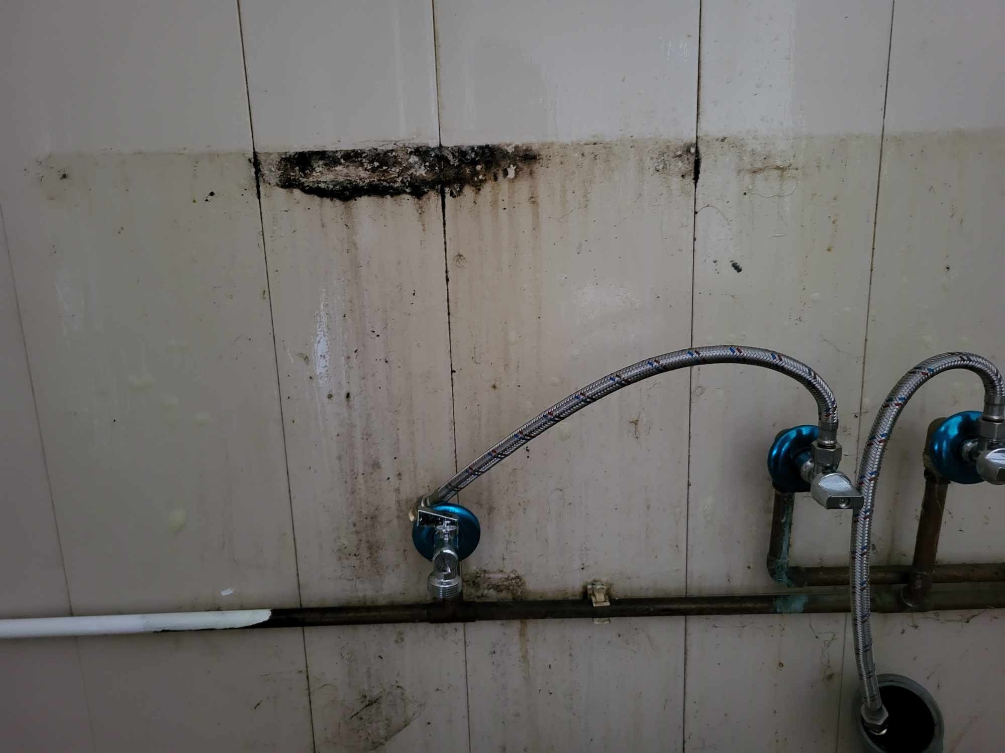 Zaniedbana ściana z ceramicznych płytek z widocznymi zaciekami, pleśnią i dwoma kranami z elastycznymi wężami w stalowym oplocie.