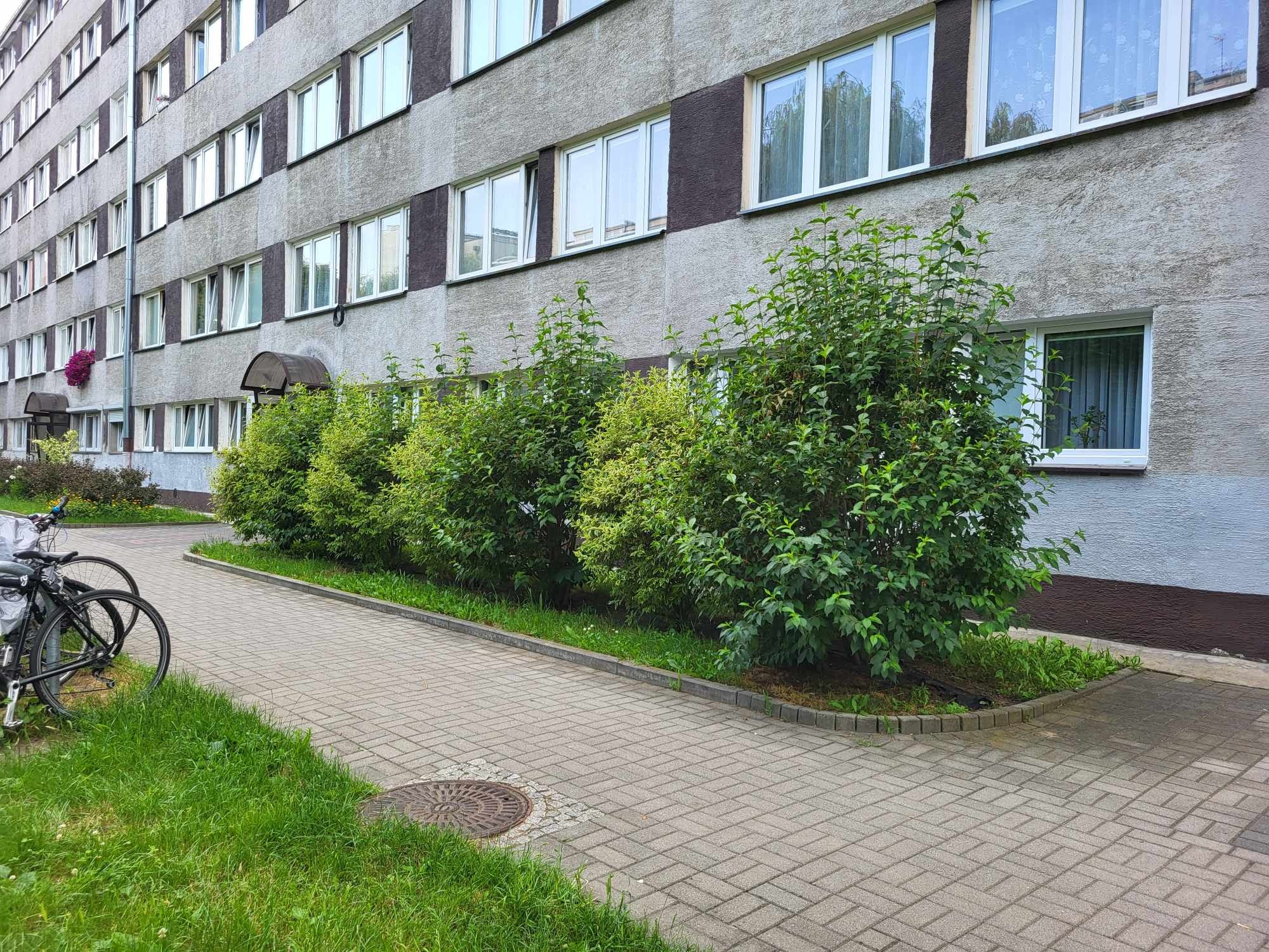 Równy rząd krzewów przed szarym blokiem mieszkalnym, widoczny chodnik z kostki brukowej, trawnik i dwa rowery zaparkowane z boku.