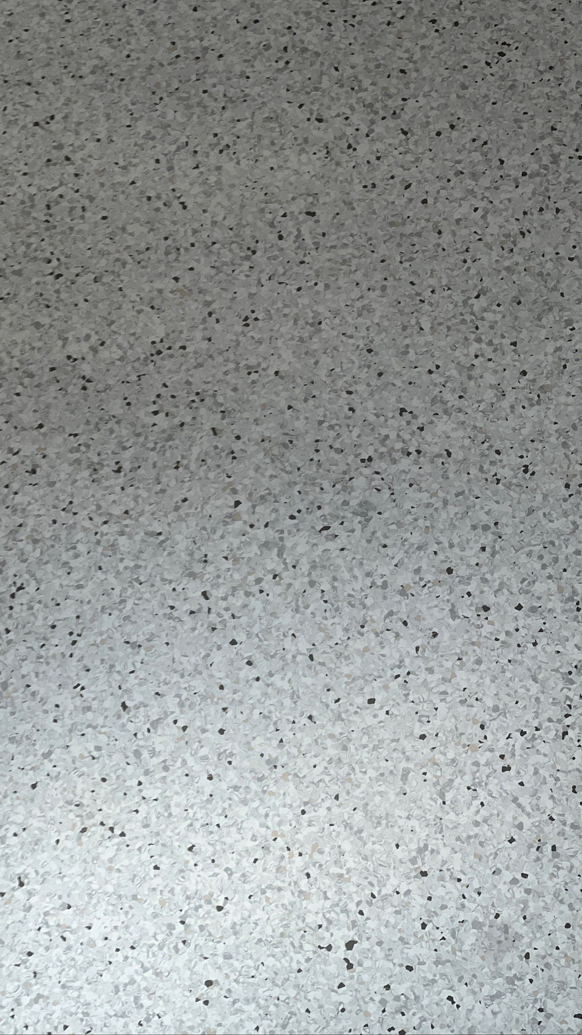 Jasnoszara wykładzina podłogowa z drobnymi, ciemnymi i jasnymi plamkami, tworząca wzór przypominający lastryko. Widok z góry, równomierne oświetlenie.