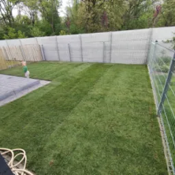 Świeżo ułożona trawa z rolki w ogrodzie, widoczne równe pasy i małe dziecko w tle, ogrodzenie panelowe z siatki.