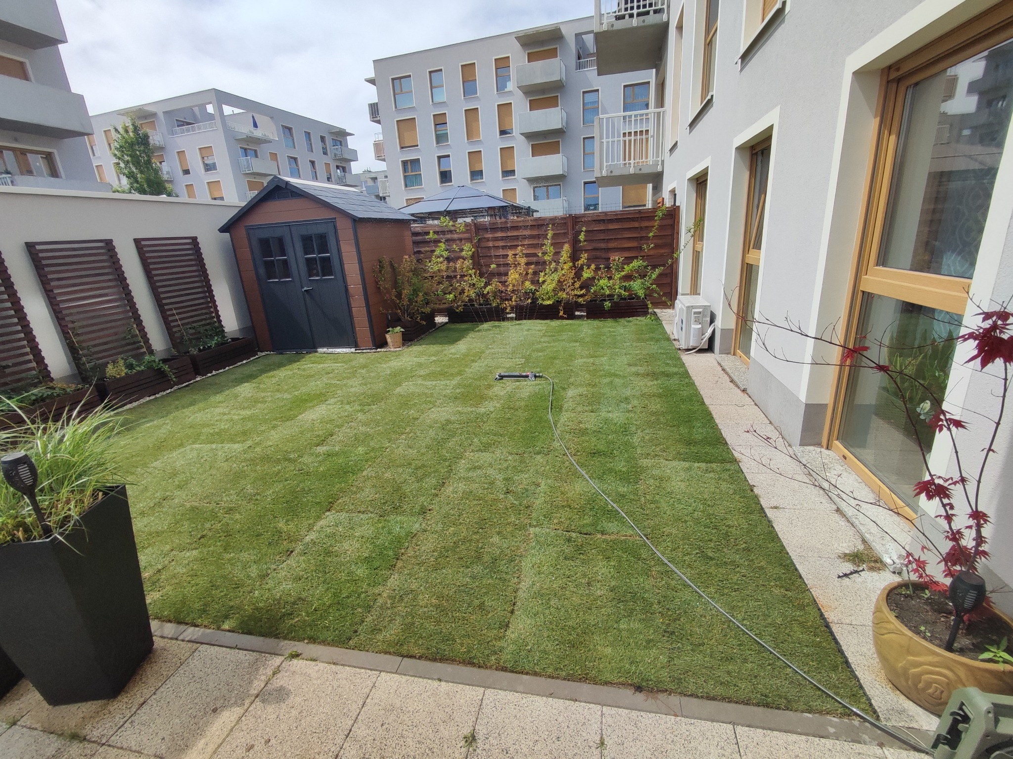 Świeżo ułożona trawa z rolki w zadbanym ogrodzie miejskim, widok na domek narzędziowy i budynki mieszkalne w tle.