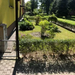 Ujęcie z poziomu chodnika na zadbany ogród z równo przystrzyżonym żywopłotem, krzewami i trawą, widziany zza metalowego ogrodzenia i rynny budynku.