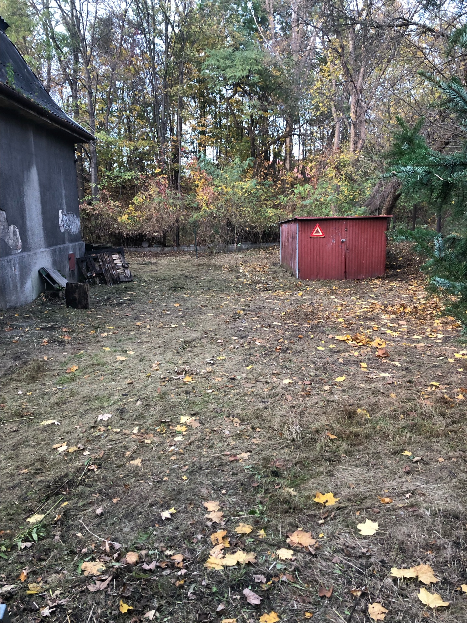 Ogród po koszeniu i sprzątaniu.