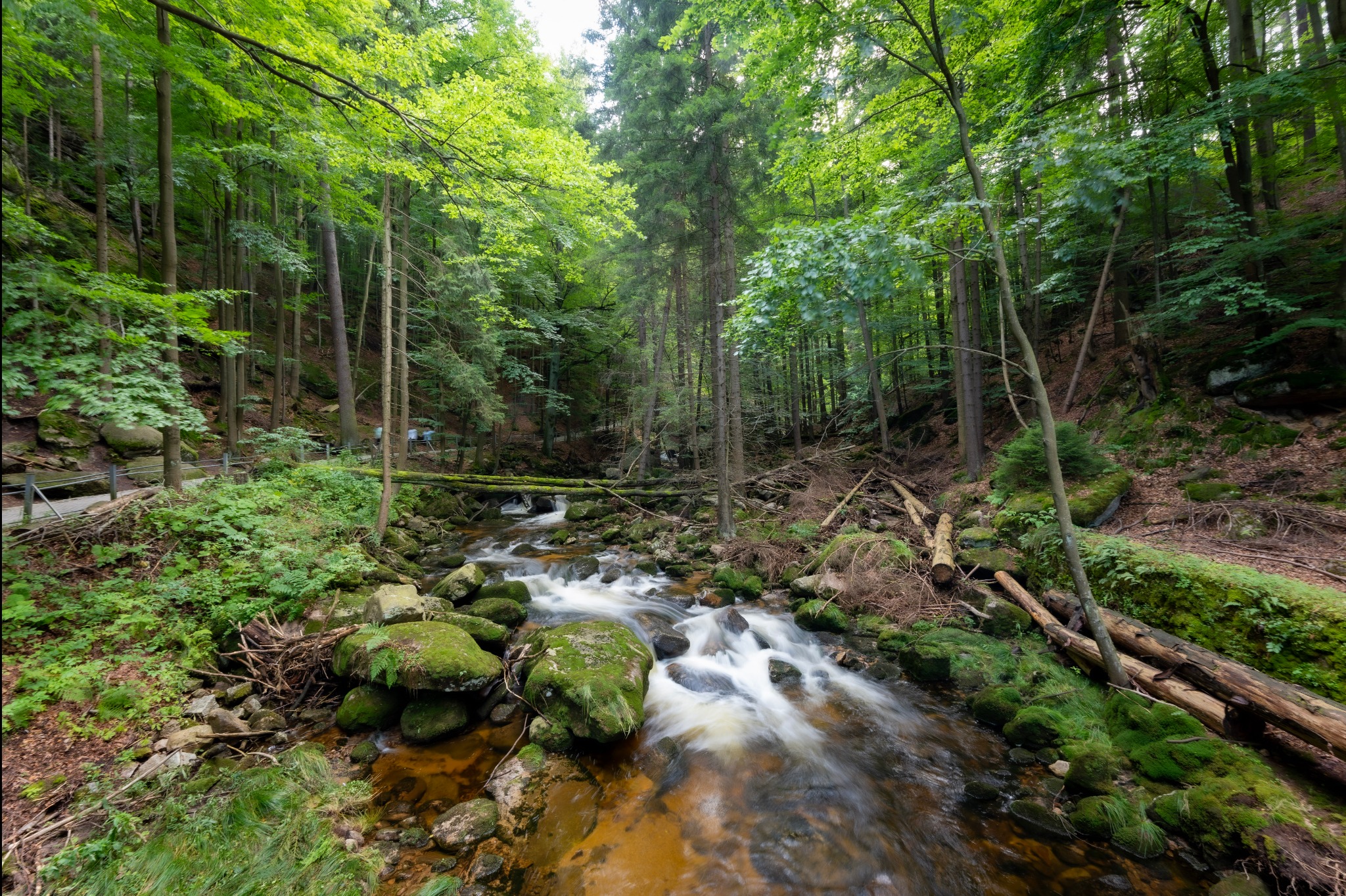 Malowniczy strumień przepływający przez gęsty las, z kaskadami wody spływającymi po omszałych kamieniach i powalonych pniach drzew, uchwycony z długim czasem naświetlania.