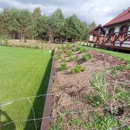 Anonim - Nowo założony trawnik z systemem zabezpieczającym przed erozją, małe sadzonki drzewek iglastych, ogrodzenie z siatki, w tle dwa domki letniskowe.