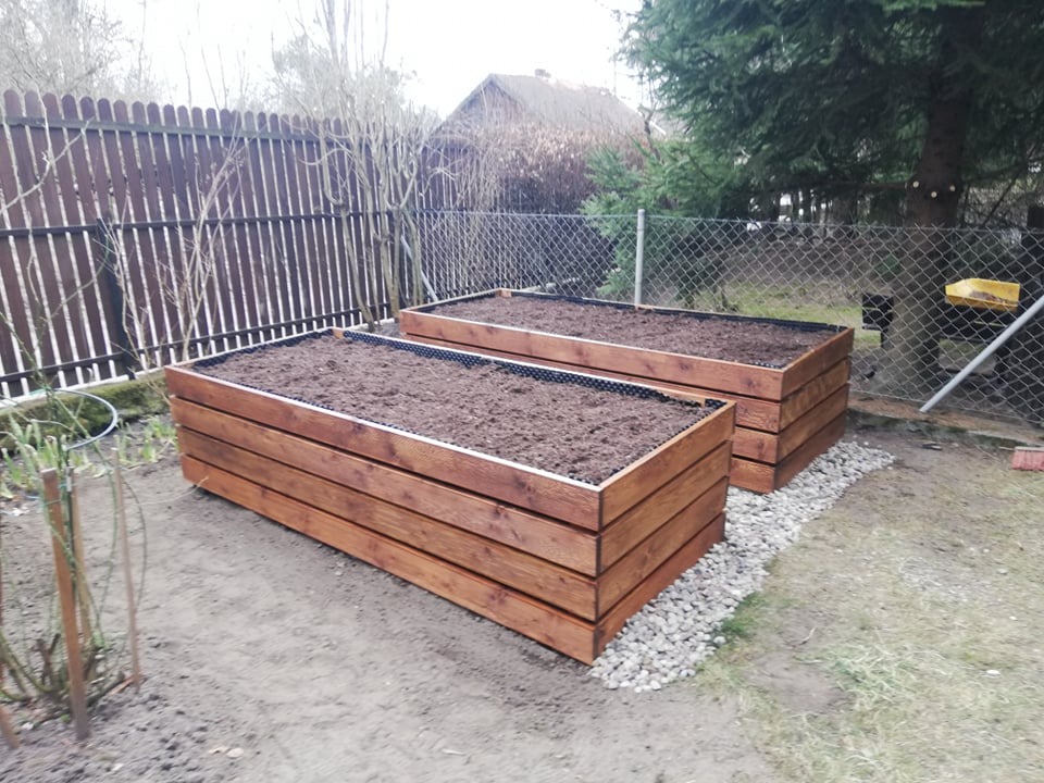 Dwie drewniane, podwyższone grządki wypełnione ziemią, ustawione obok siebie na żwirowym podłożu w ogrodzie, widoczne ogrodzenie z siatki i drewniane panele.