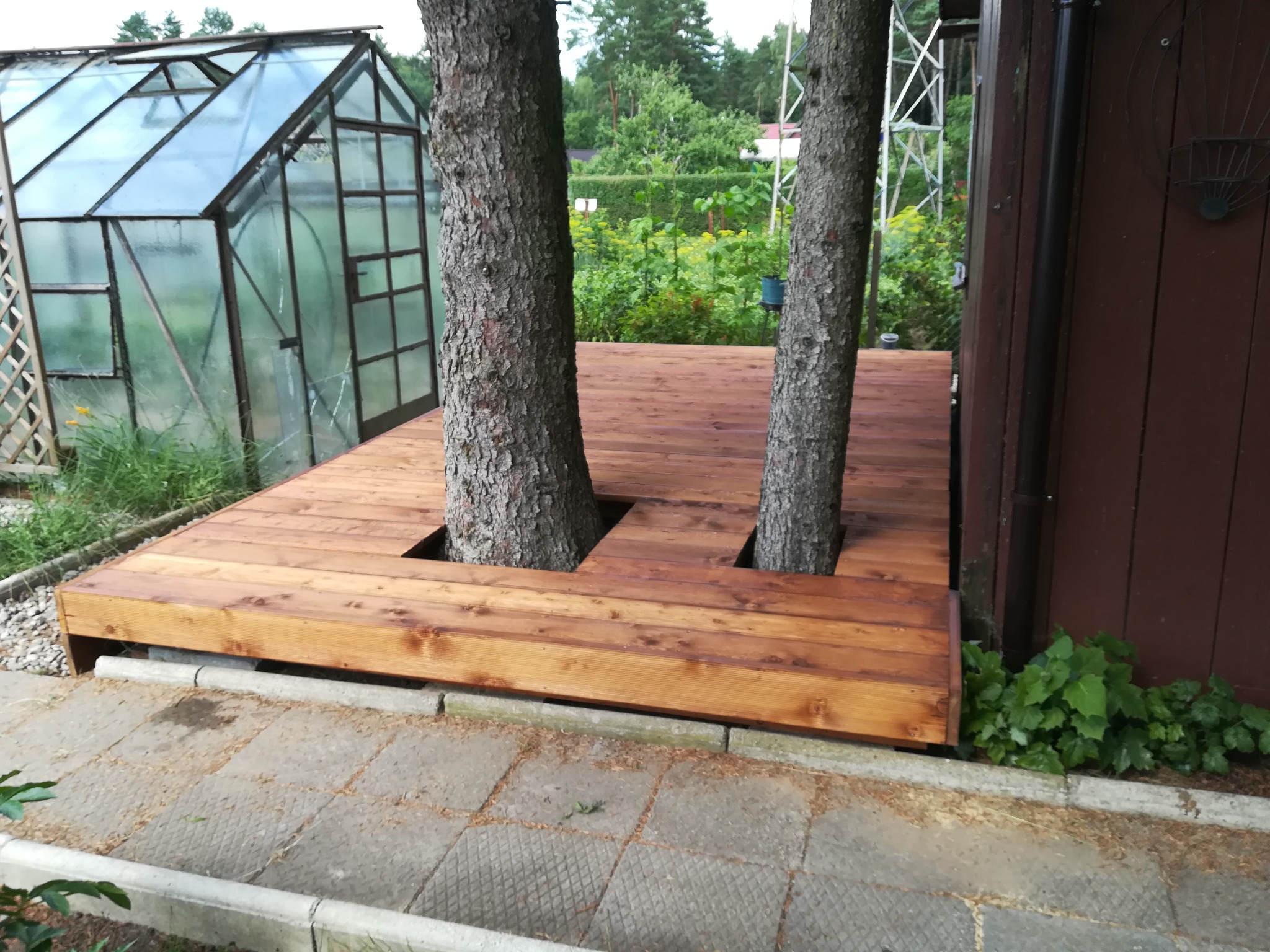 Drewniany taras zbudowany wokół dwóch rosnących drzew, z widoczną szklarnią w tle i elementami ogrodu.