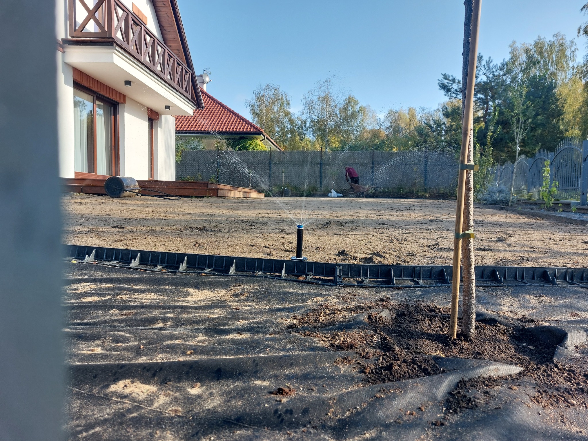 Nowo założony trawnik z systemem nawadniania w trakcie testowania, widoczna czarna agrotkanina, obrzeża trawnikowe, świeżo posadzone drzewko podparte palikami i osoba pracująca w oddali.