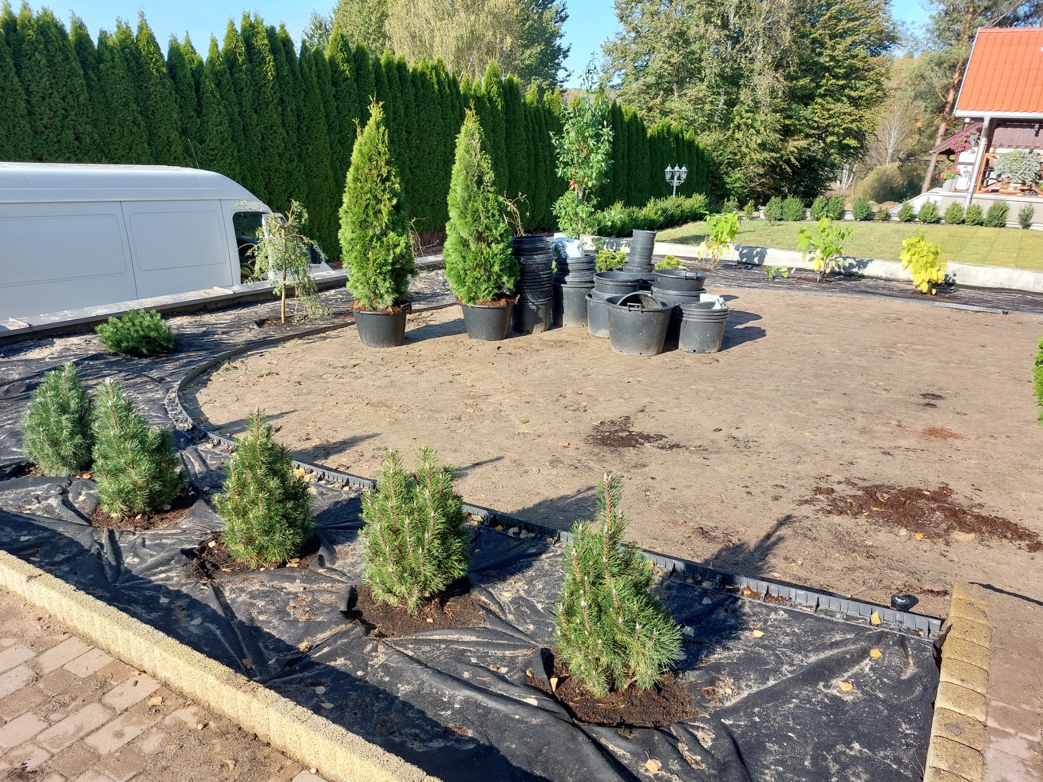 Przygotowanie terenu pod nasadzenia: rozłożona agrowłóknina, obrzeża z kostki, małe iglaki w ziemi i większe w donicach, biały bus w tle.