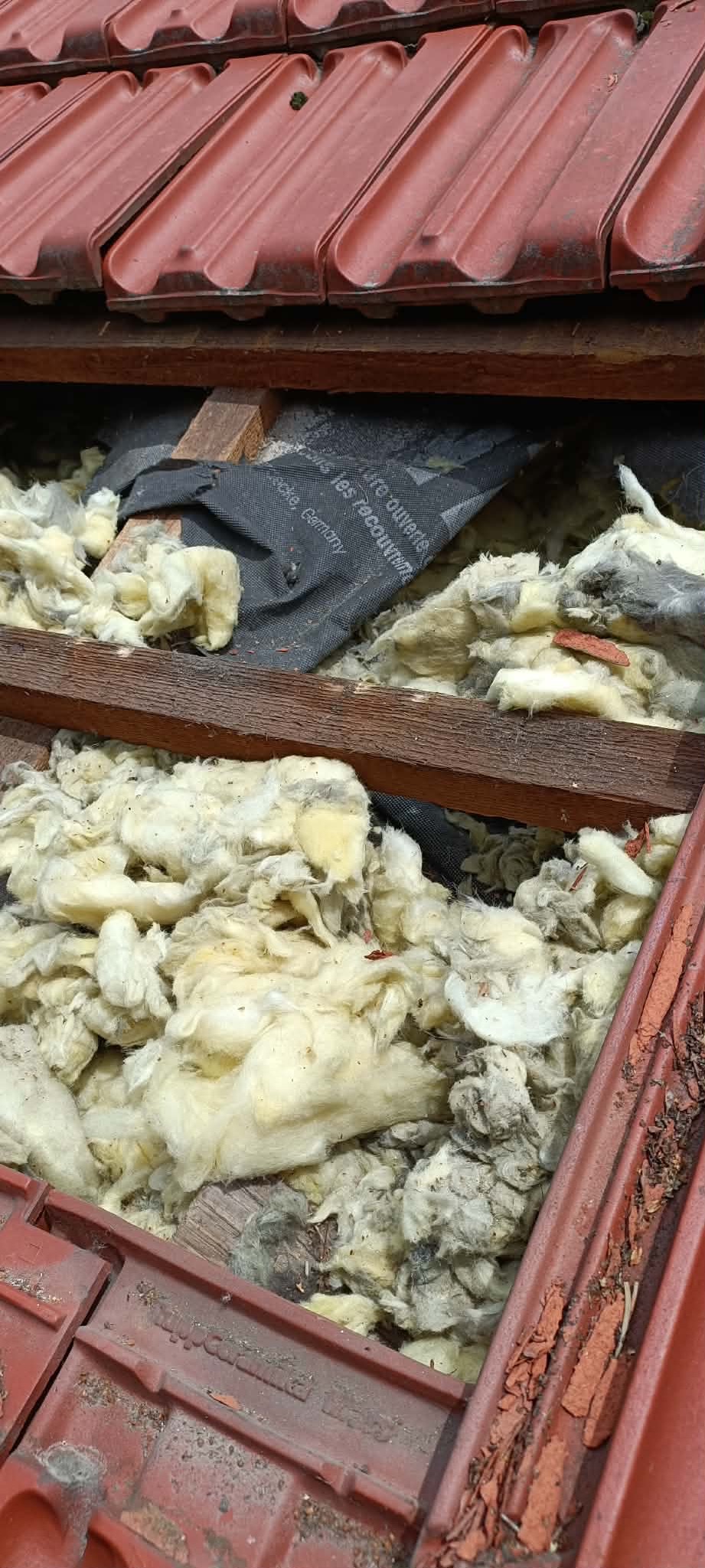 Poddasze z widoczną izolacją z wełny mineralnej i membraną dachową, fragment czerwonej dachówki. Ocieplenie poddasza w trakcie realizacji.