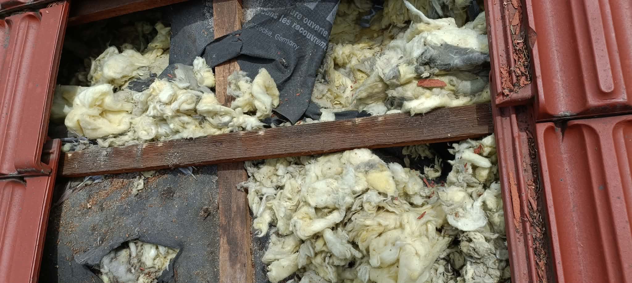 Poddasze z widoczną izolacją z wełny mineralnej, częściowo zakryte czarną membraną dachową. Fragment czerwonej dachówki w prawym górnym rogu kadru.