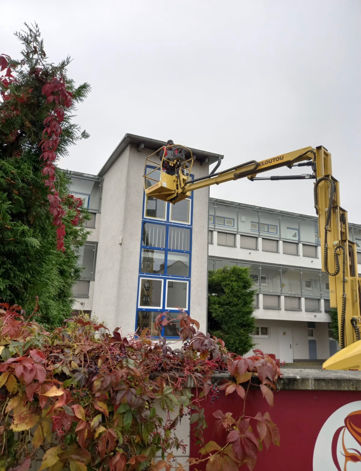 Pracownik na podnośniku koszowym przy budynku wielopiętrowym z niebieskimi ramami okiennymi, widoczne jesienne liście bluszczu na pierwszym planie.