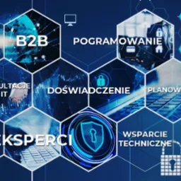 Abstrakcyjna grafika przedstawiająca koncepcje związane z branżą IT w formie heksagonów na niebieskim tle: B2B, Konsultacje IT, Eksperci, Doświadczenie, Planowanie, Programowanie, Wsparcie...