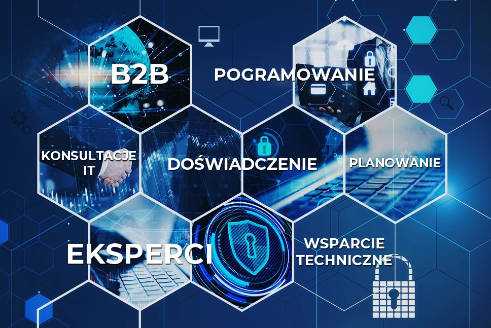 Abstrakcyjna grafika przedstawiająca koncepcje związane z branżą IT w formie heksagonów na niebieskim tle: B2B, Konsultacje IT, Eksperci, Doświadczenie, Planowanie, Programowanie, Wsparcie...