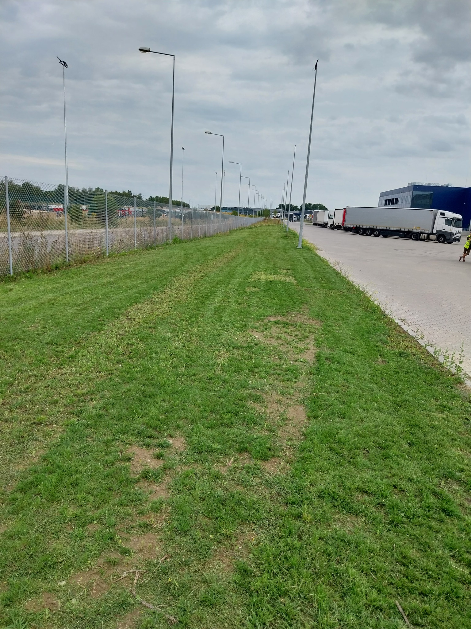 Długi pas zielonej trawy wzdłuż ogrodzenia i parkingu dla ciężarówek w pochmurny dzień, widoczne ślady kół na trawie.