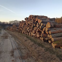 Drewopol Tomasz Serbin - Stosy pni drzew ułożone wzdłuż polnej drogi, z widocznym lasem w tle i błękitnym niebem z smugą kondensacyjną. Widoczny przekrój pni z korą i sękami.