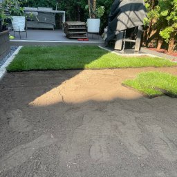 Trawa z rolki Charzyno 3