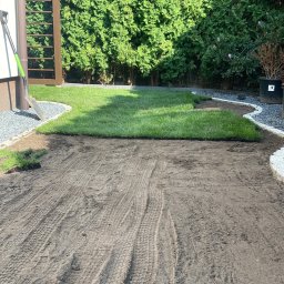 Trawa z rolki Charzyno 4