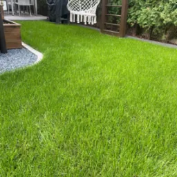 Świeżo założony trawnik z rolki, widoczny z bliska, z elementami architektury ogrodowej w tle: huśtawka, grill pod pokrowcem, meble ogrodowe.