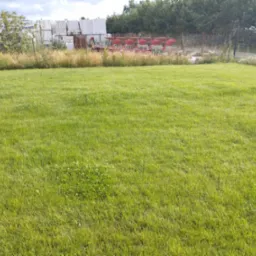 Rozległy trawnik z widocznymi kępkami koniczyny, w tle ogrodzenie z siatki, za którym składowane są materiały budowlane i czerwony pług rolniczy.