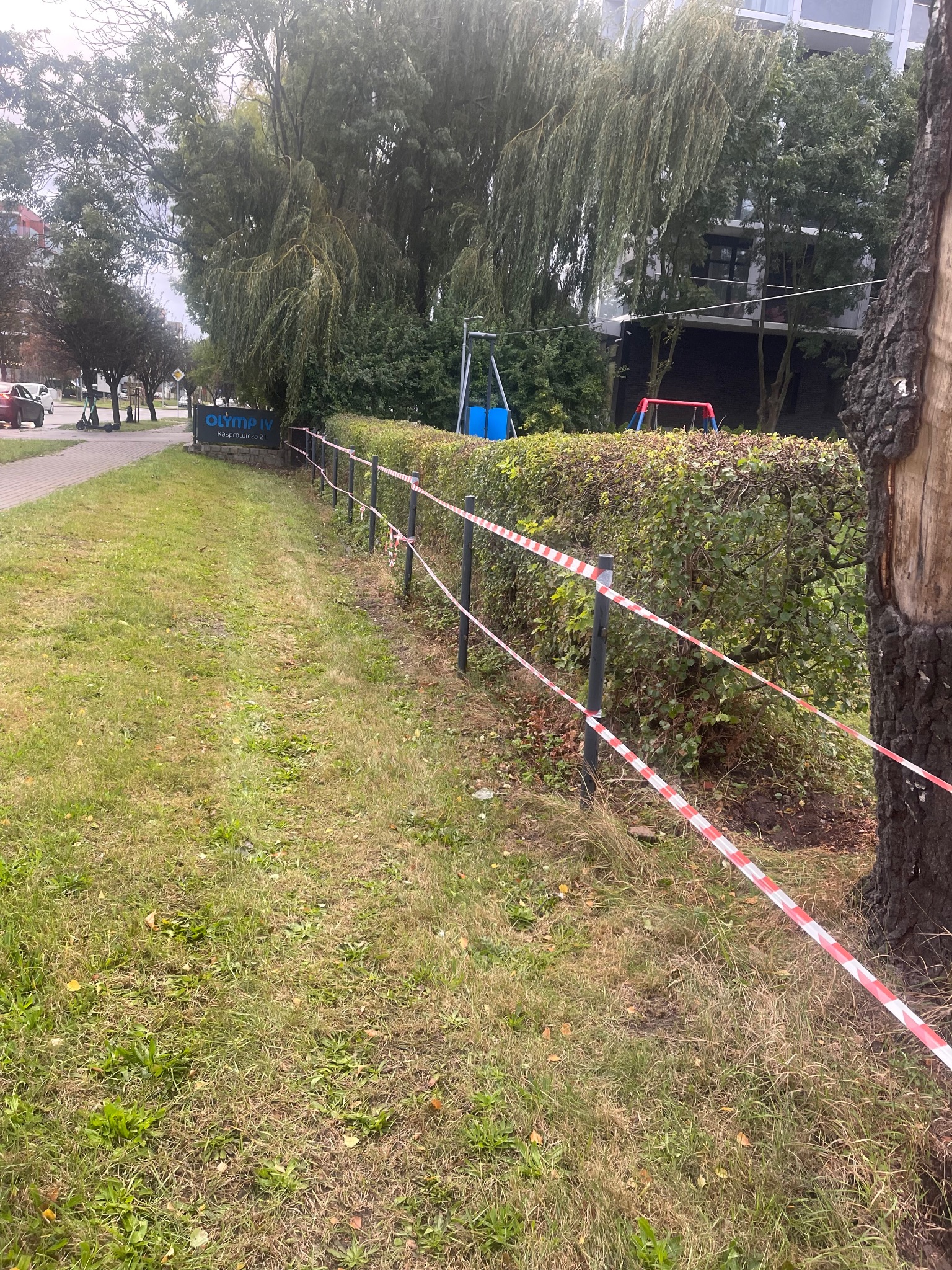 Oznakowany teren z uschniętą trawą i żywopłotem w tle, widoczny spalony pień drzewa i plac zabaw.