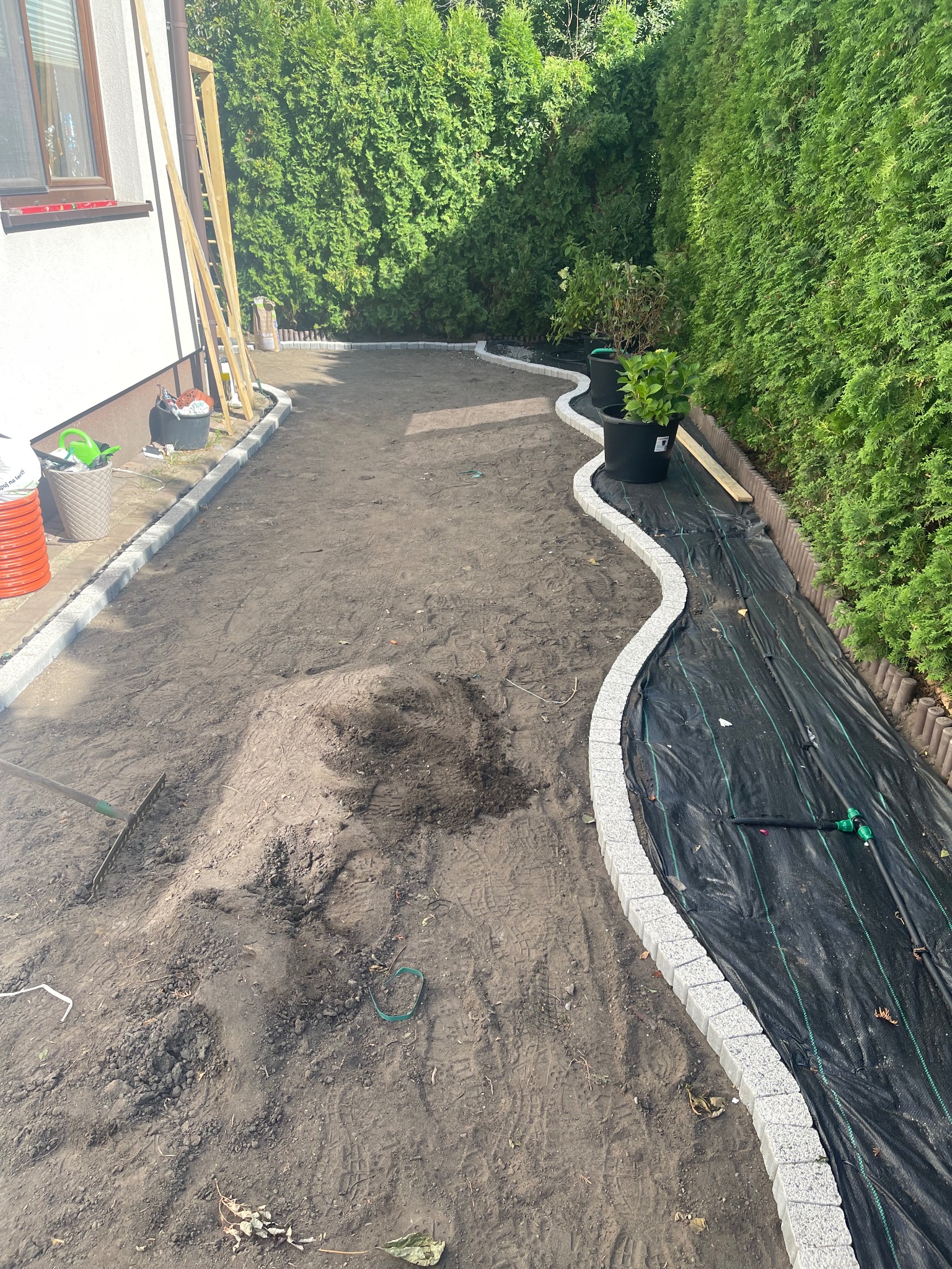 Przygotowanie terenu pod trawnik: ułożone obrzeża z kostki, rozłożona agrowłóknina z systemem nawadniania, ziemia przygotowana do siewu trawy, tło z tujami.