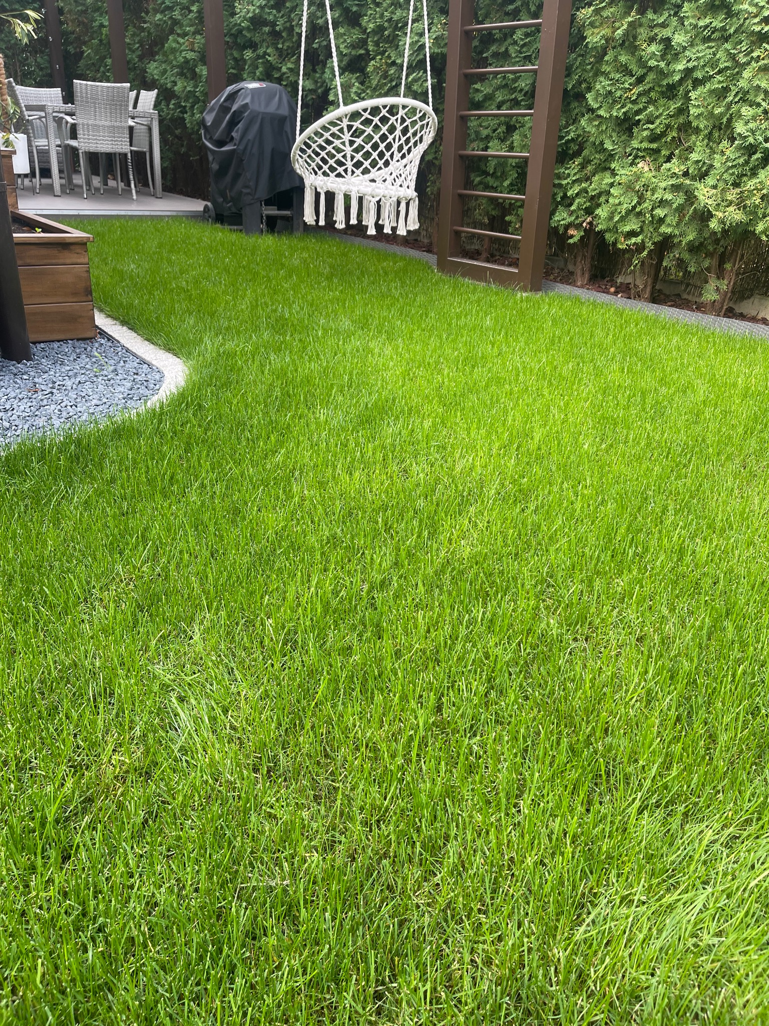 Świeżo założony trawnik z rolki, widoczny z bliska, z elementami architektury ogrodowej w tle: huśtawka, grill pod pokrowcem, meble ogrodowe.