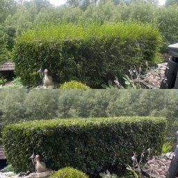 Mycie elewacji Wojciechów 1