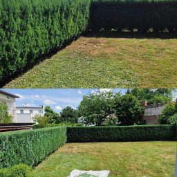 FLY PARADISE S.C - Porównanie stanu trawnika i żywopłotu przed i po zabiegach pielęgnacyjnych, z widocznym przyciętym żywopłotem i fragmentami trawy na plandece.