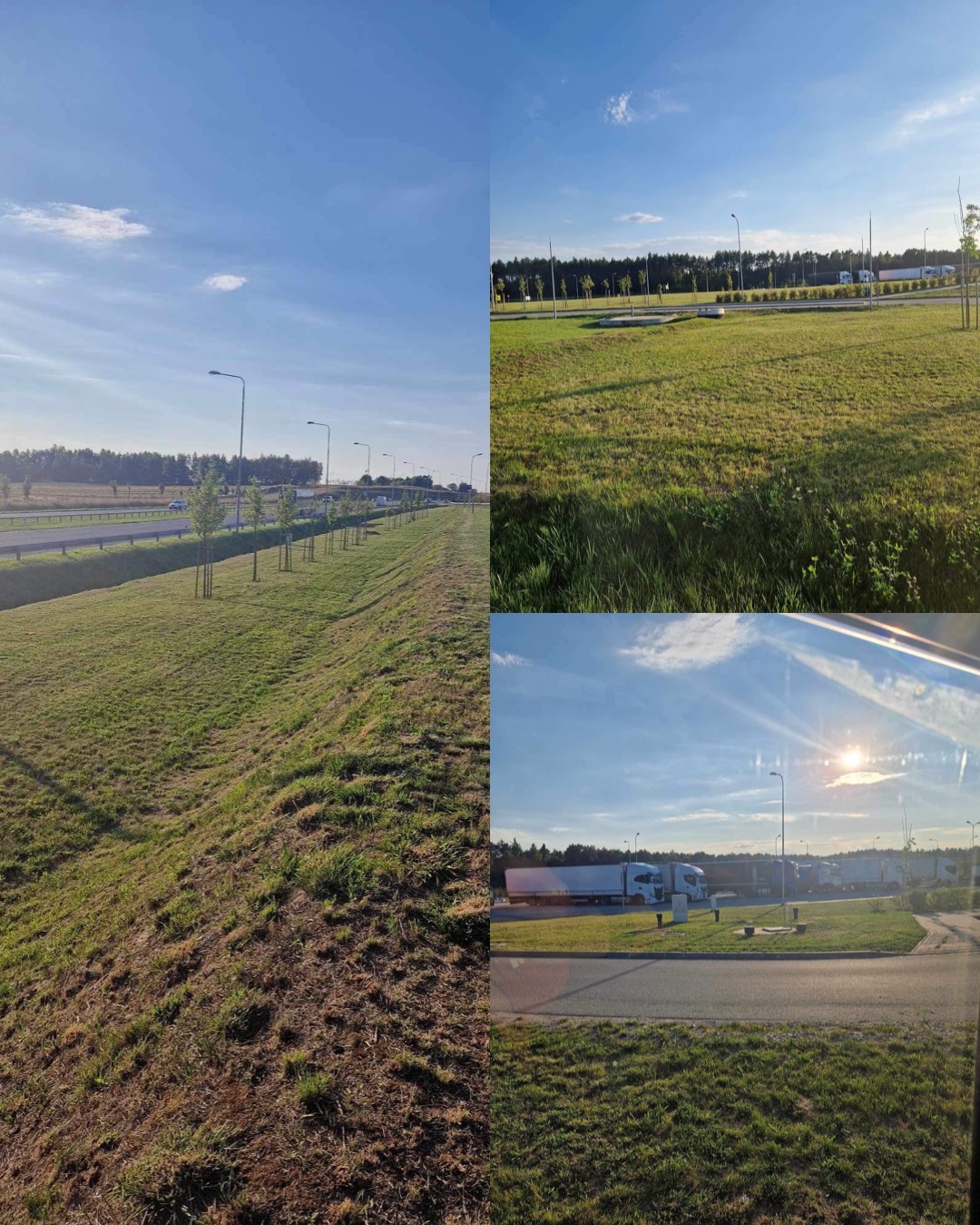 Widok na pas zieleni wzdłuż autostrady z młodymi drzewkami, fragment parkingu dla tirów w oddali, błękitne niebo z chmurami.