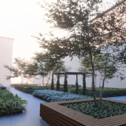 Nowoczesny ogród na dachu z drewnianymi rabatami, roślinami okrywowymi, drzewami i pergolą w tle, oświetlony miękkim światłem poranka.