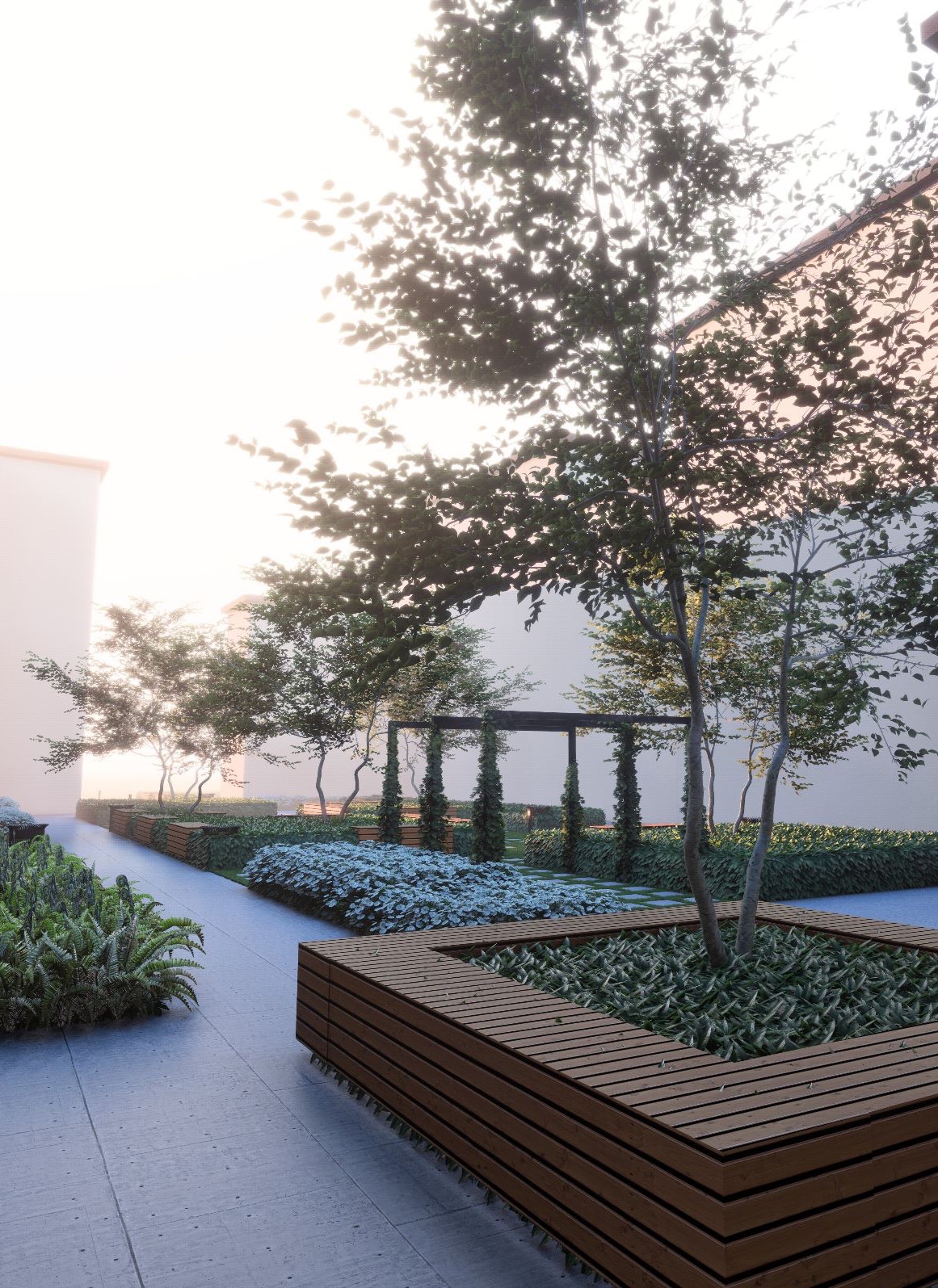 Nowoczesny ogród na dachu z drewnianymi rabatami, roślinami okrywowymi, drzewami i pergolą w tle, oświetlony miękkim światłem poranka.