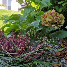 Systemy nawadniania Bieńkowice 4