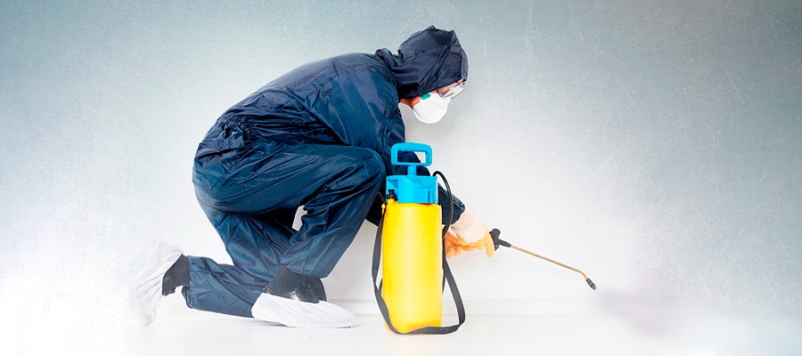 Osoba w kombinezonie ochronnym, masce i okularach klęczy, rozpylając preparat z żółtego opryskiwacza na jasną ścianę.