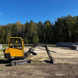 Wycinka drzew Zelów 3