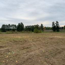 Garden - Pola po wycince drzew, widoczne resztki gałęzi i liści na ziemi, w tle rząd drzew i pochmurne niebo.