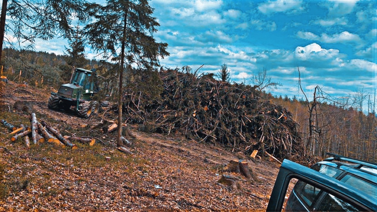 Leśny krajobraz po wycince drzew: traktor na zboczu, stos gałęzi i pni, widoczne pnie ściętych drzew, fragment samochodu w rogu kadru.