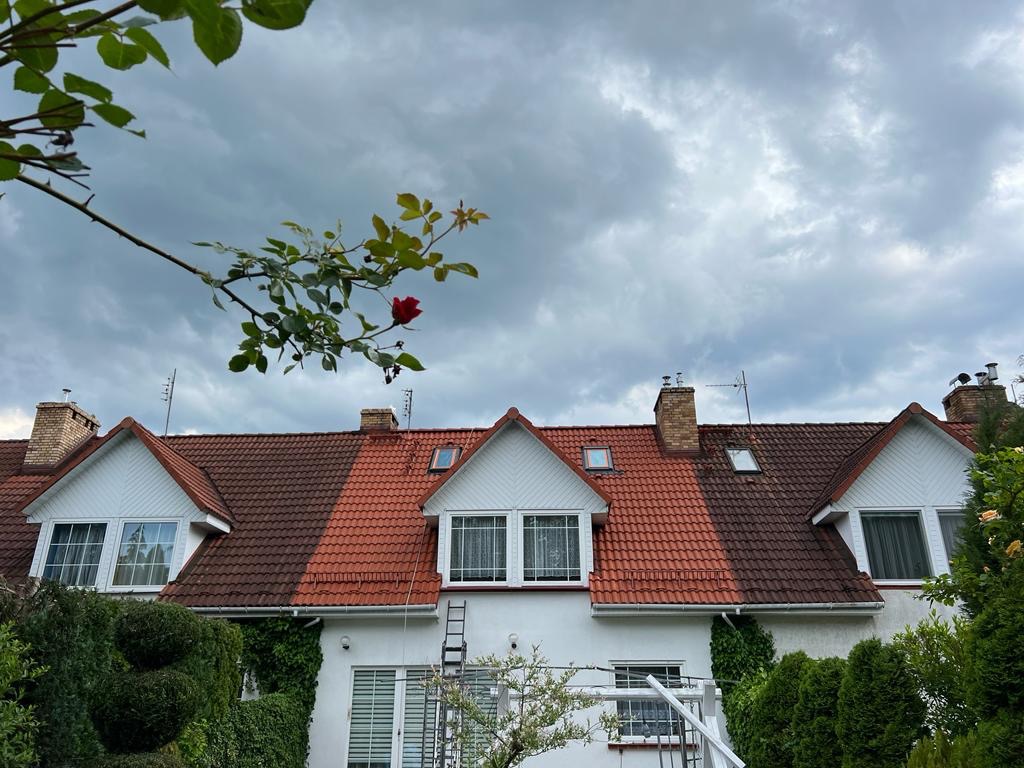 Dwukolorowy dach z dachówki ceramicznej na tle pochmurnego nieba, drabina oparta o ścianę budynku, widoczna roślinność.