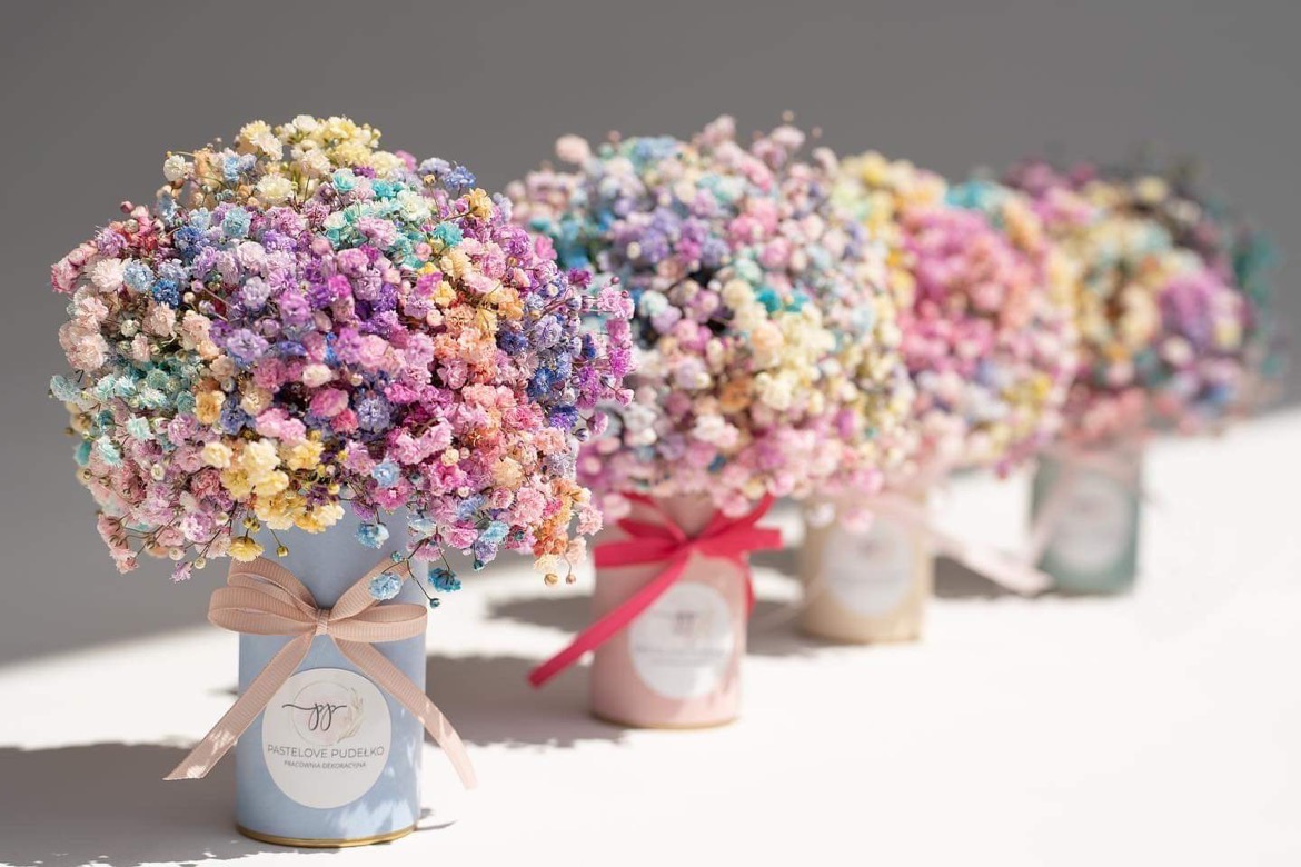 Rząd pięciu małych bukietów gipsówki w pastelowych kolorach, umieszczonych w dopasowanych kolorystycznie pudełkach z kokardkami, z logo 'Pastelove Pudełko' na każdym pudełku.