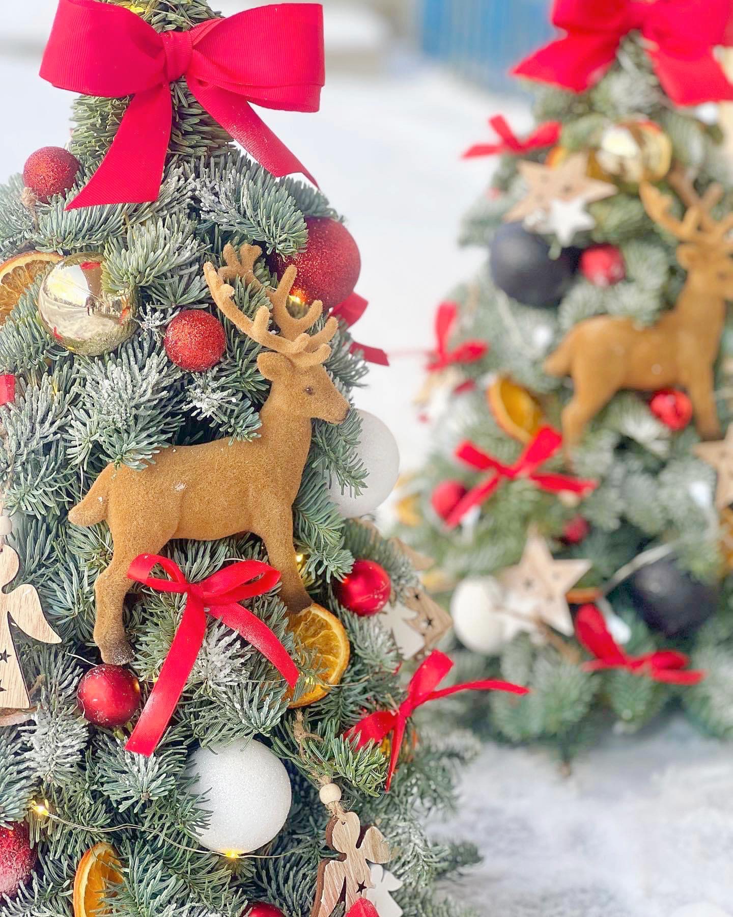 Dwa małe, udekorowane drzewka świąteczne, z ozdobami w postaci czerwonych kokard, bombek, suszonych pomarańczy i drewnianych figurek reniferów, lekko ośnieżone.