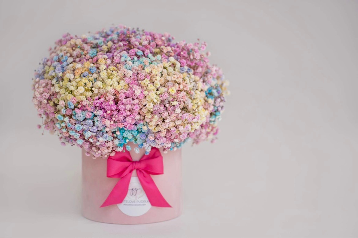 Pudełko z pastelowymi kwiatami gipsówki, przewiązane różową wstążką, na białym tle.