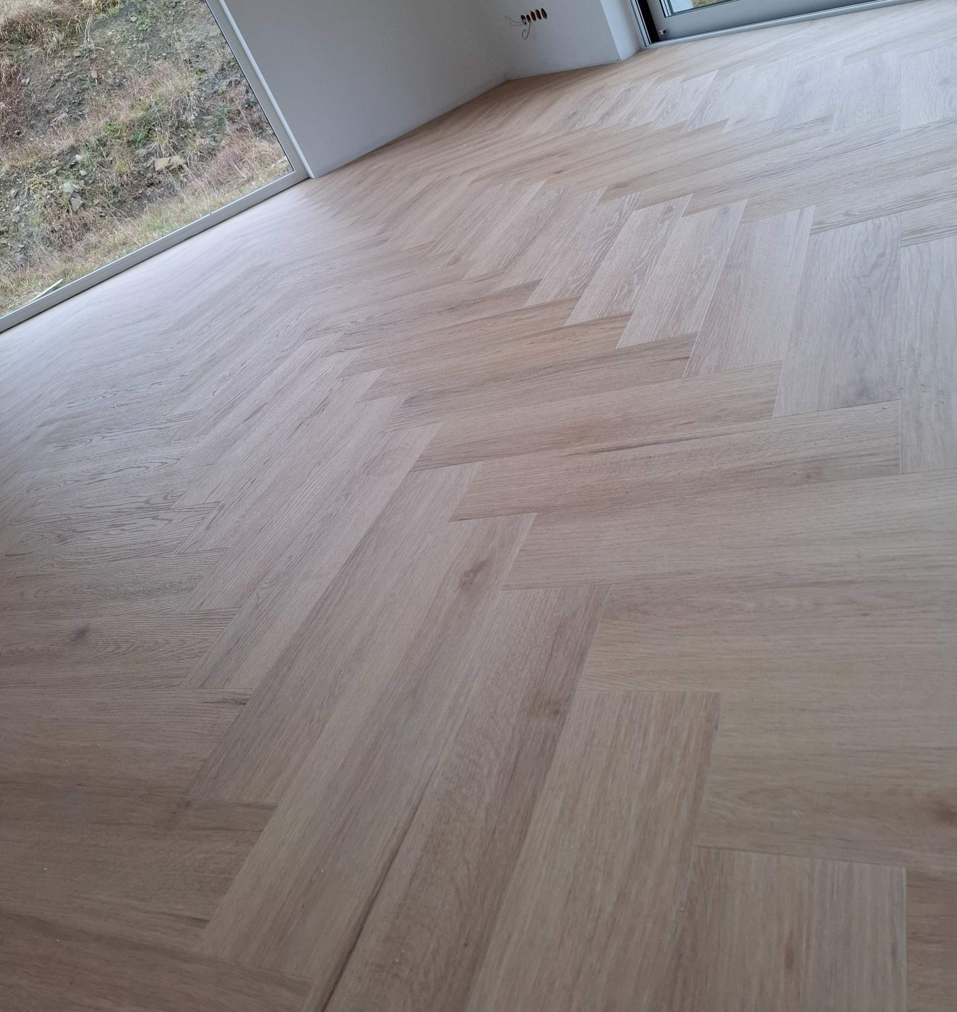 Jodełka Arbiton Dąb Harlow