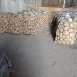 Magazyn z workami wypełnionymi ziemniakami, widoczne również worki typu Big Bag w tle, podłoga betonowa, oświetlenie magazynowe.