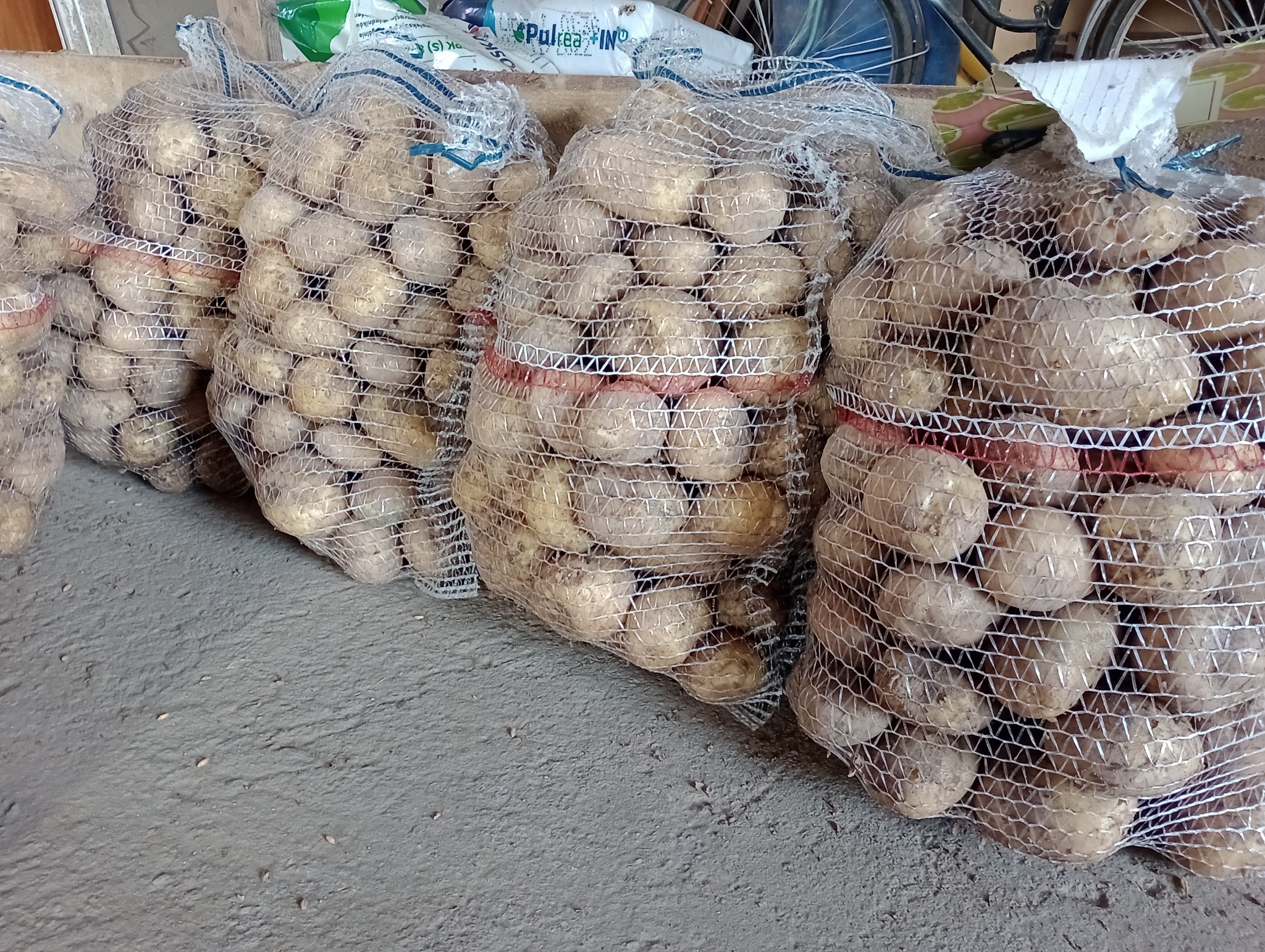 Worki z ziemniakami z widoczną siatką i elementami opakowań w tle, ułożone na betonowej podłodze.